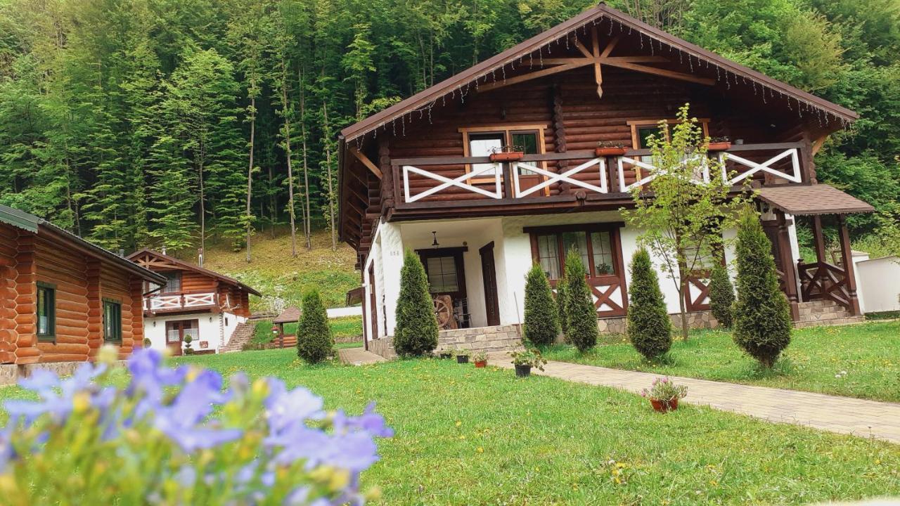 U Druziv Hotel Поляна Екстериор снимка
